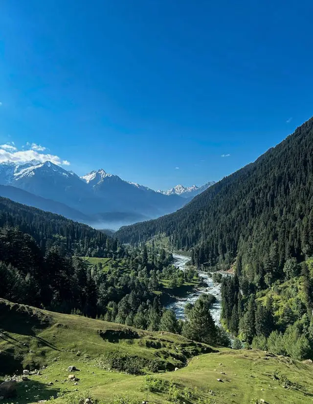 Kashmir